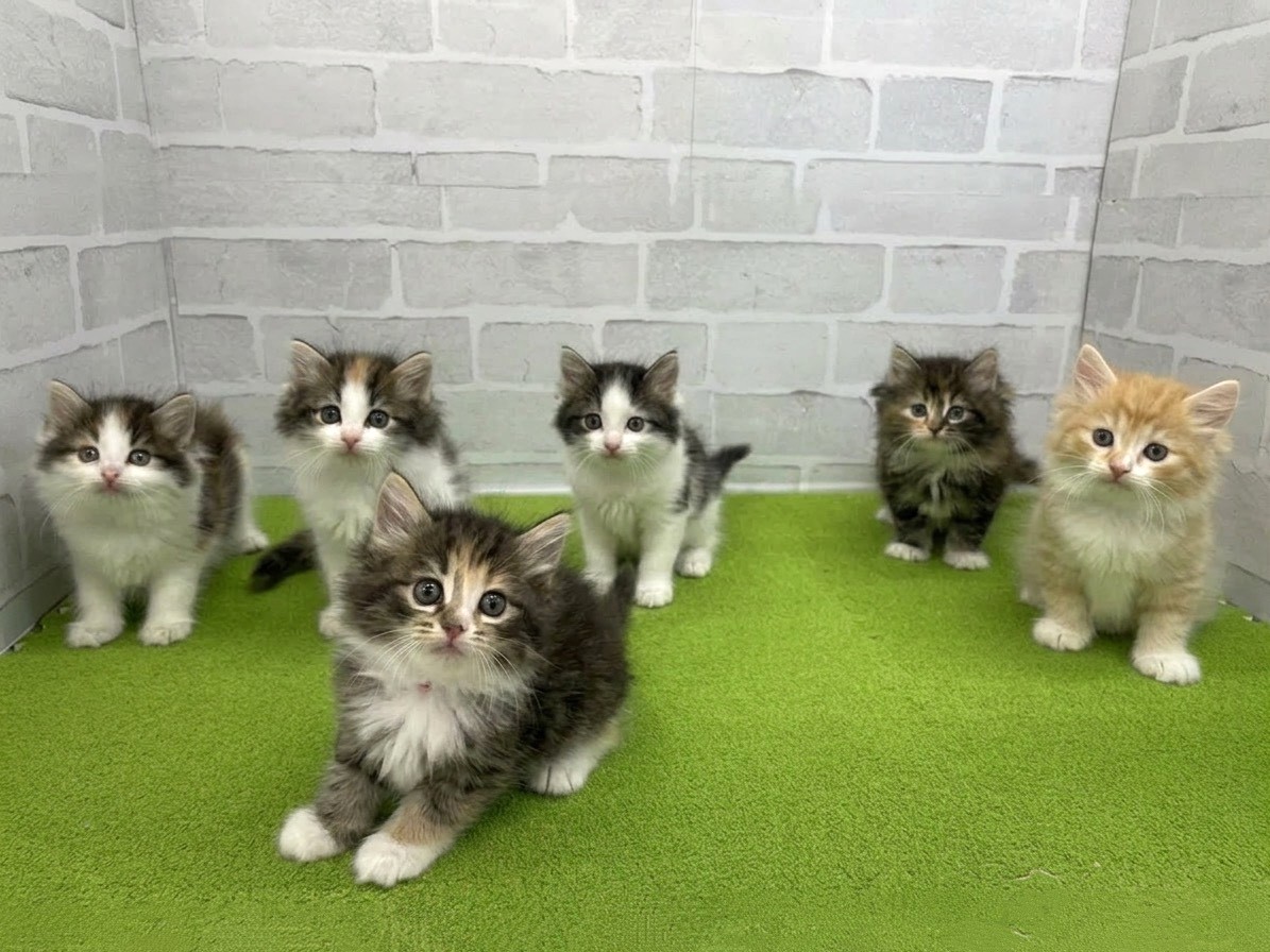 赤ちゃん写真3-3