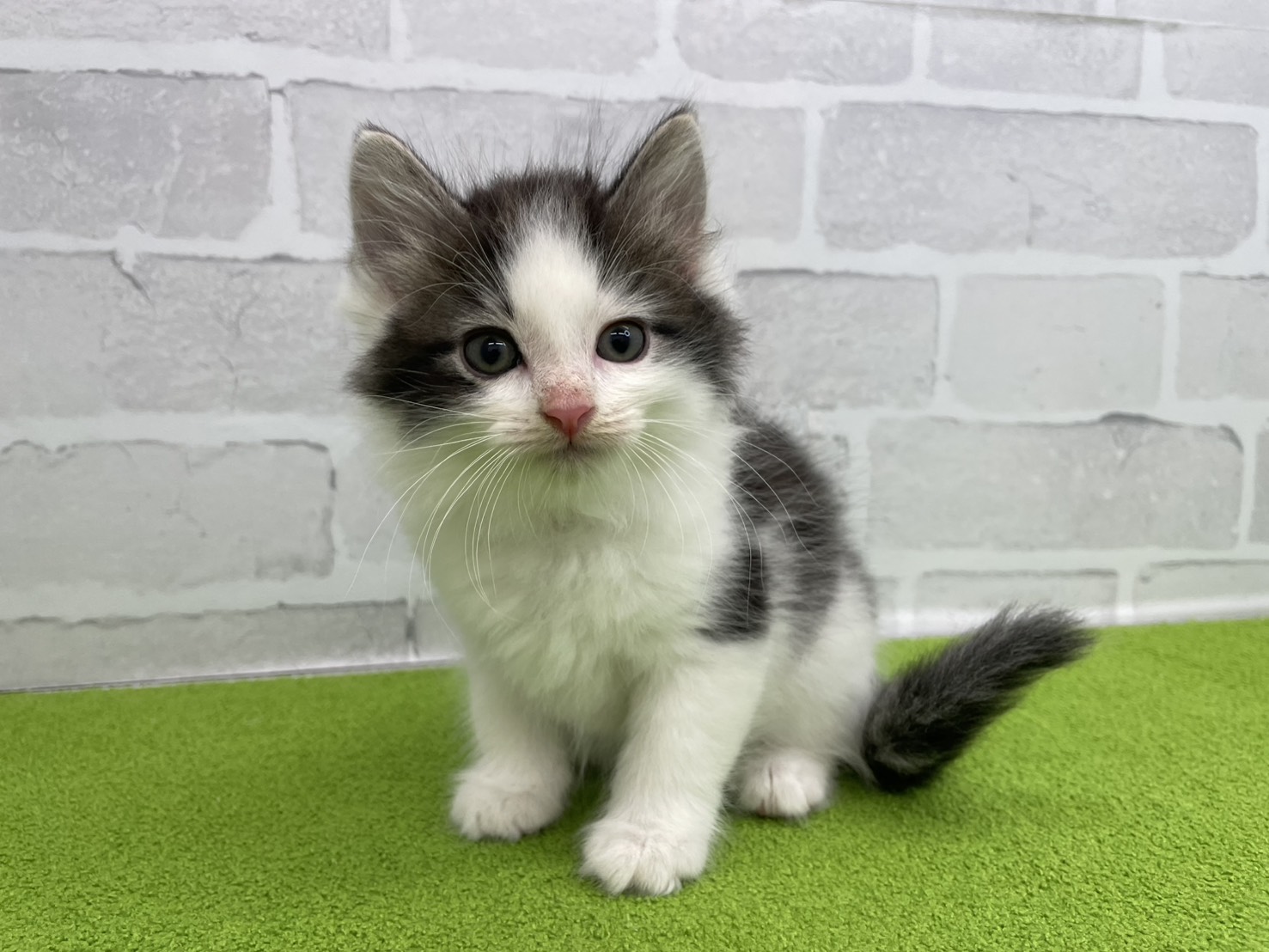 赤ちゃん写真3-1