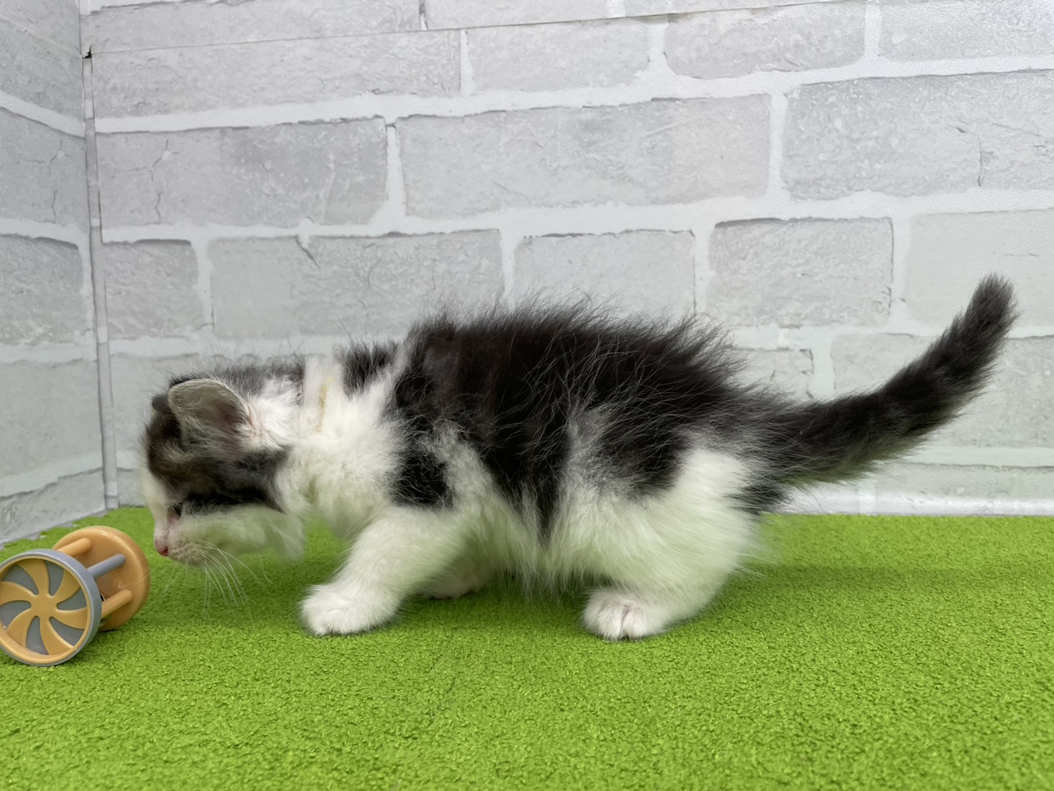 赤ちゃん写真3-2