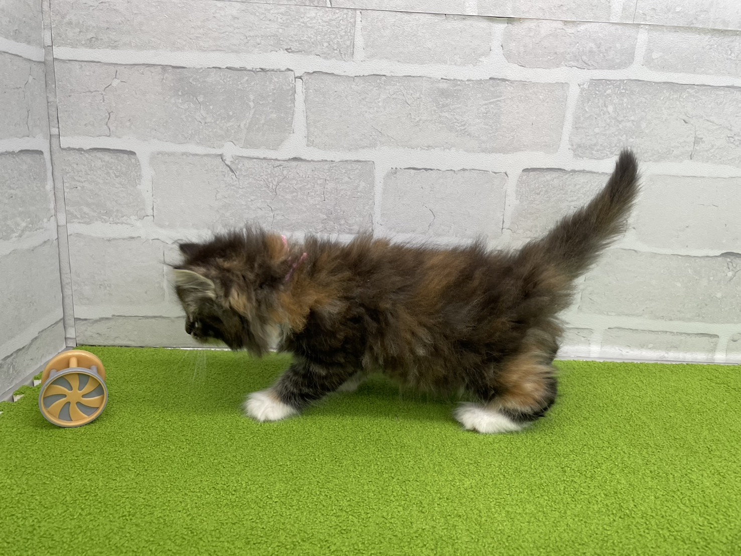 赤ちゃん写真3-2