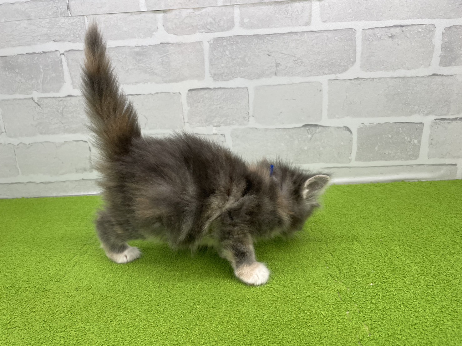 赤ちゃん写真2-2
