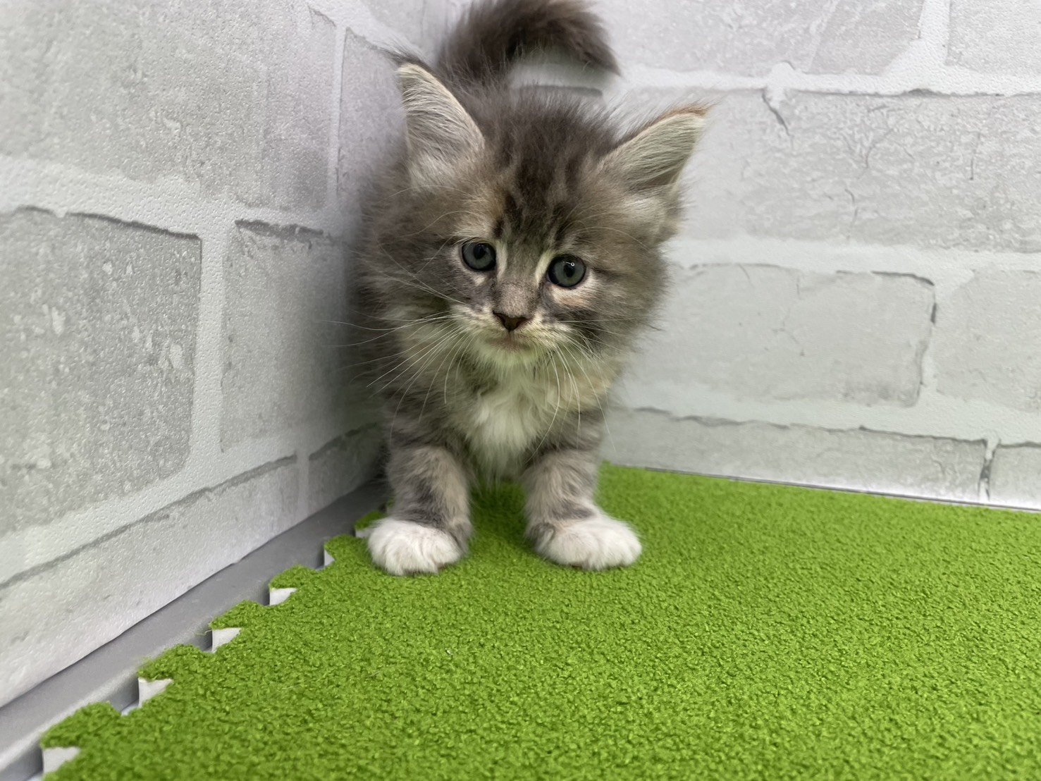 赤ちゃん写真2-1
