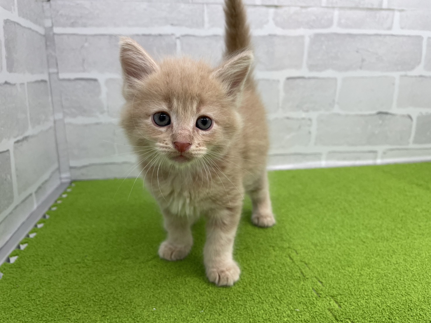 赤ちゃん写真2-1