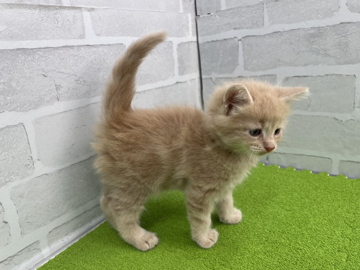 赤ちゃん写真2-2