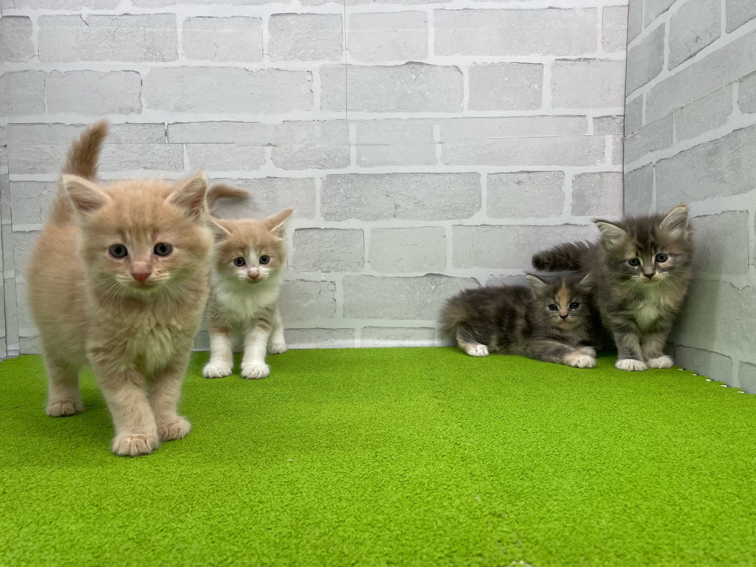 赤ちゃん写真2-3