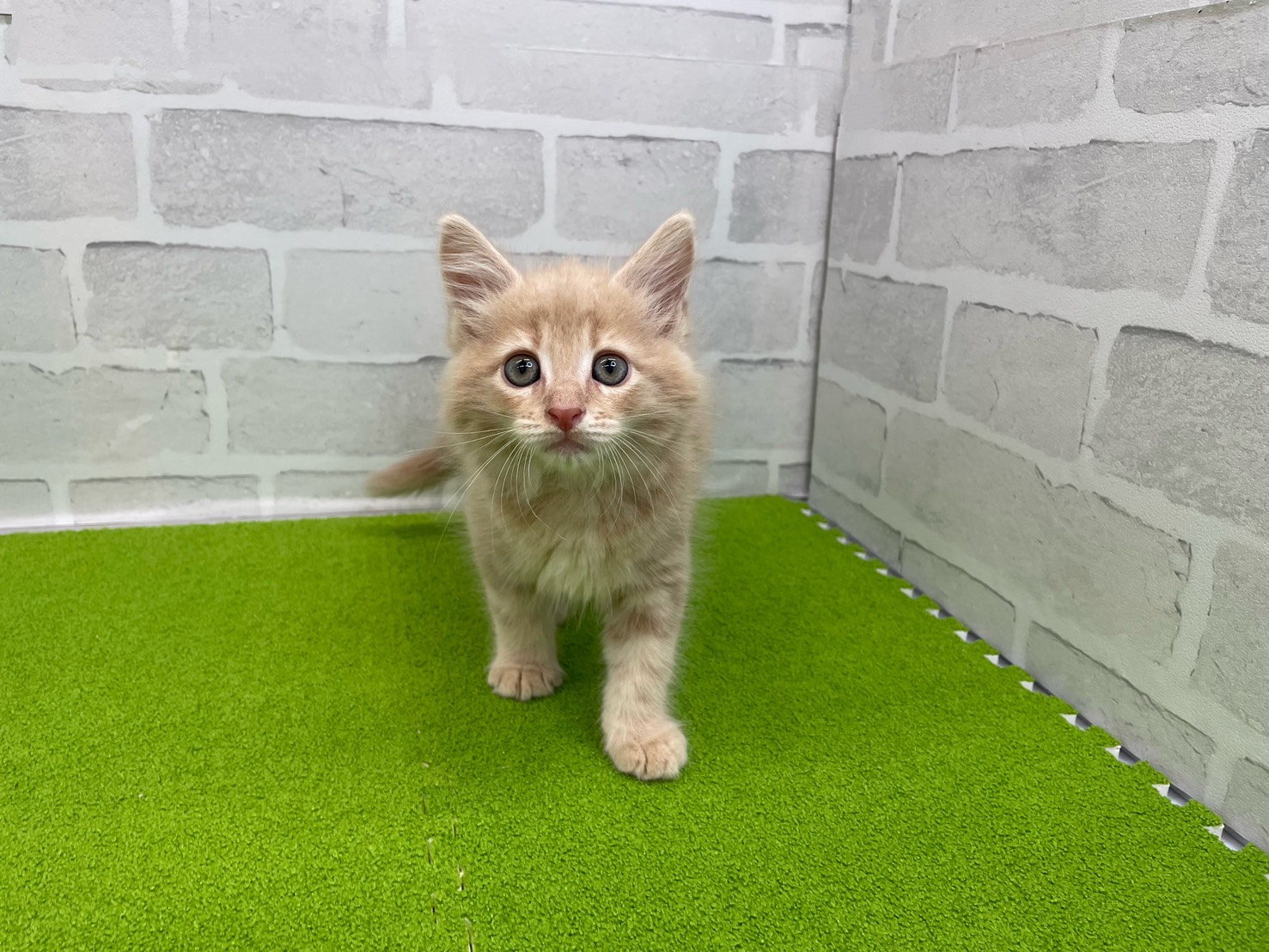 赤ちゃん写真3-1