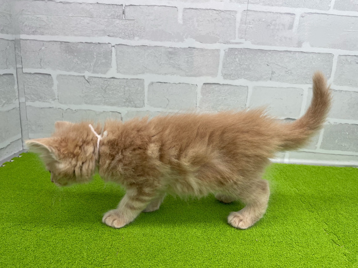 赤ちゃん写真3-2