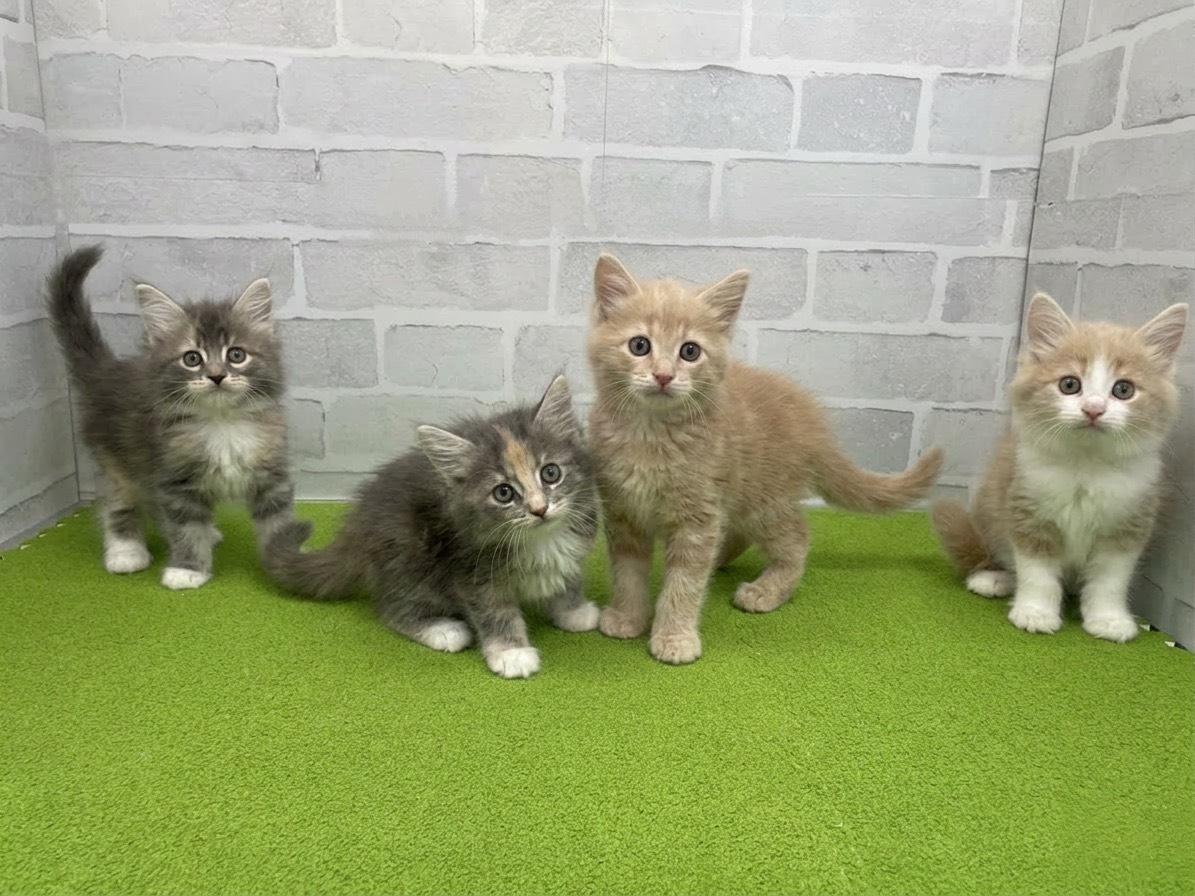 赤ちゃん写真3-3