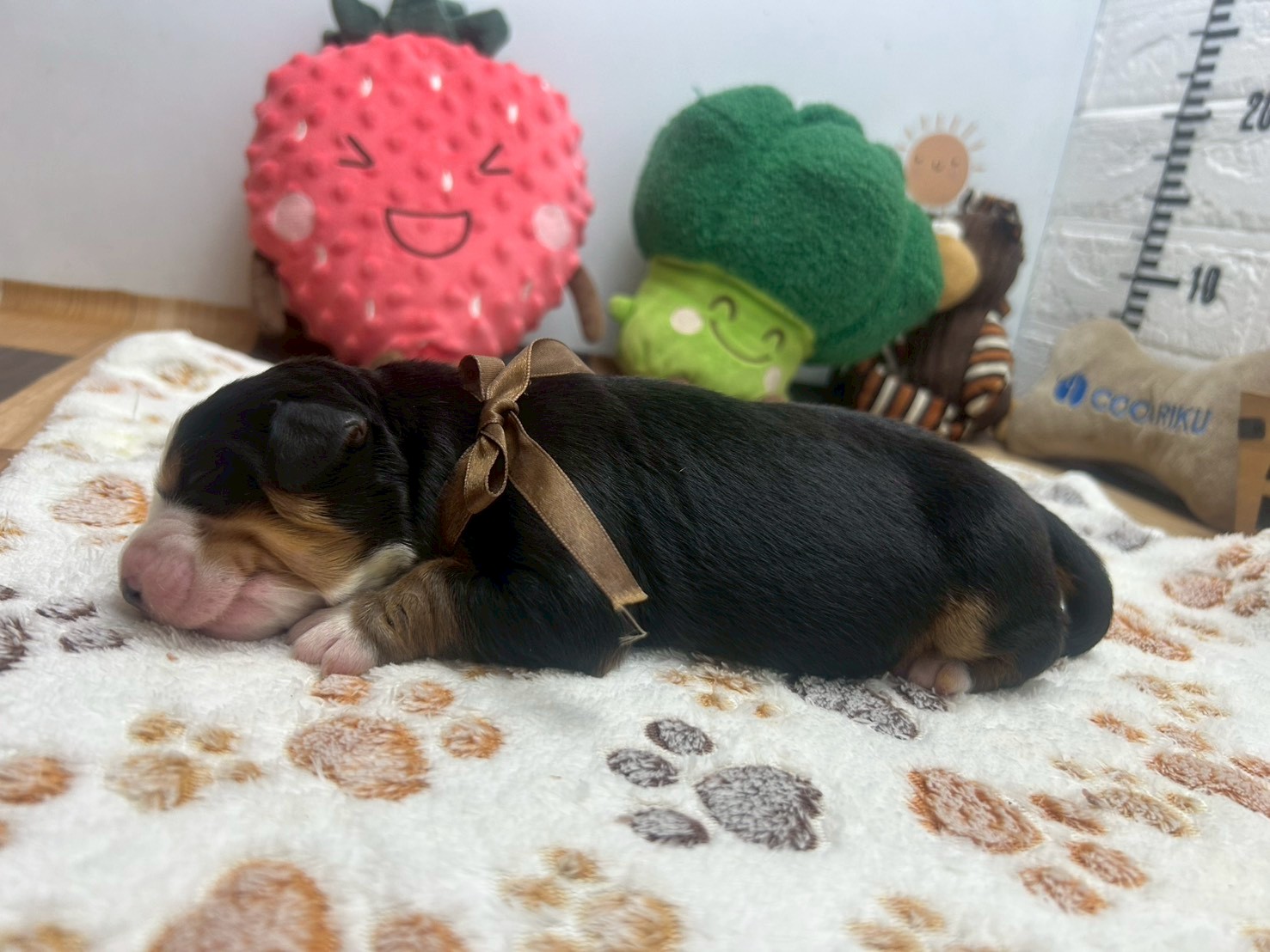 赤ちゃん写真1-2
