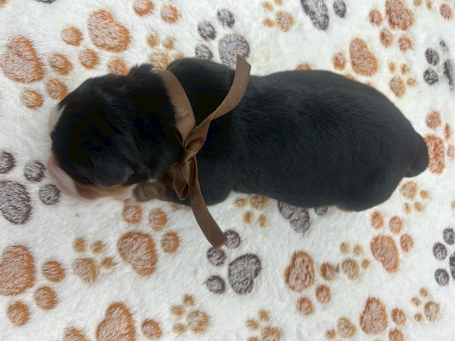 赤ちゃん写真1-3