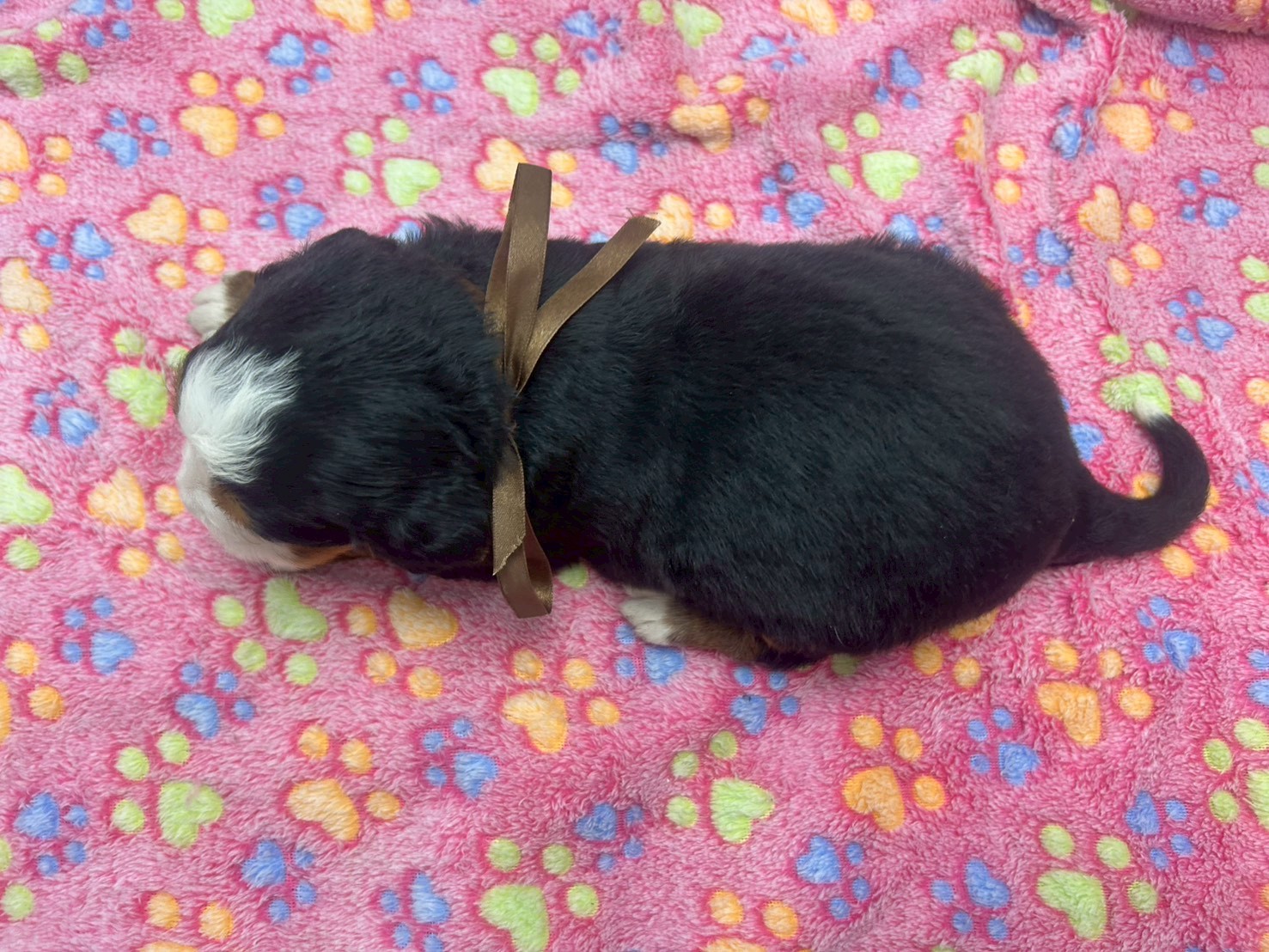 赤ちゃん写真2-3