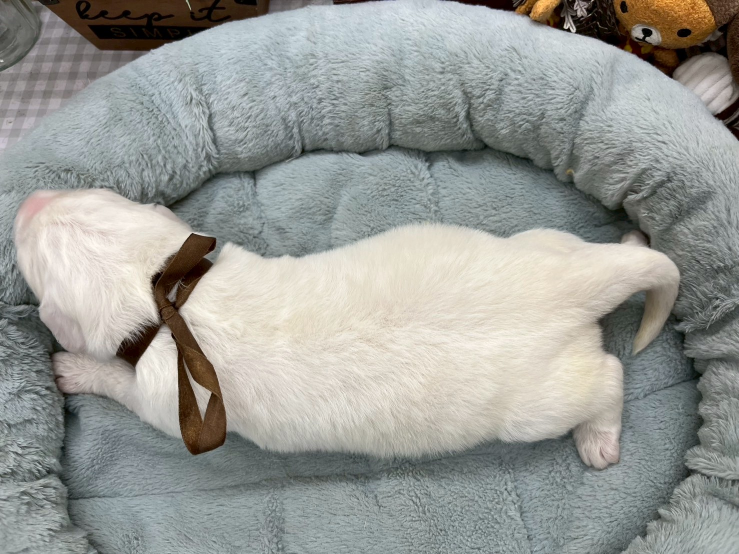 赤ちゃん写真1-3