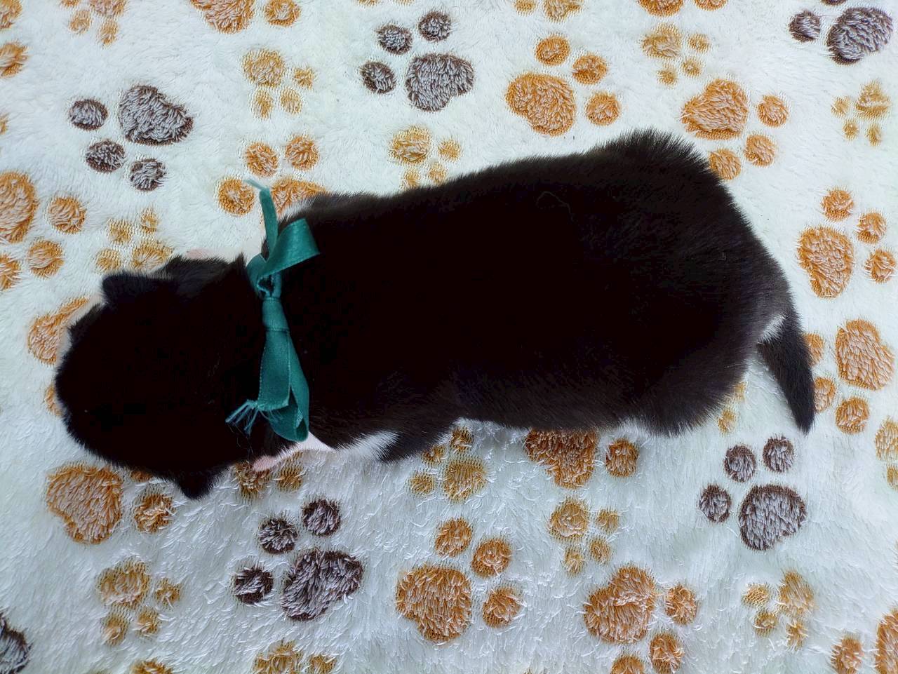 赤ちゃん写真1-3