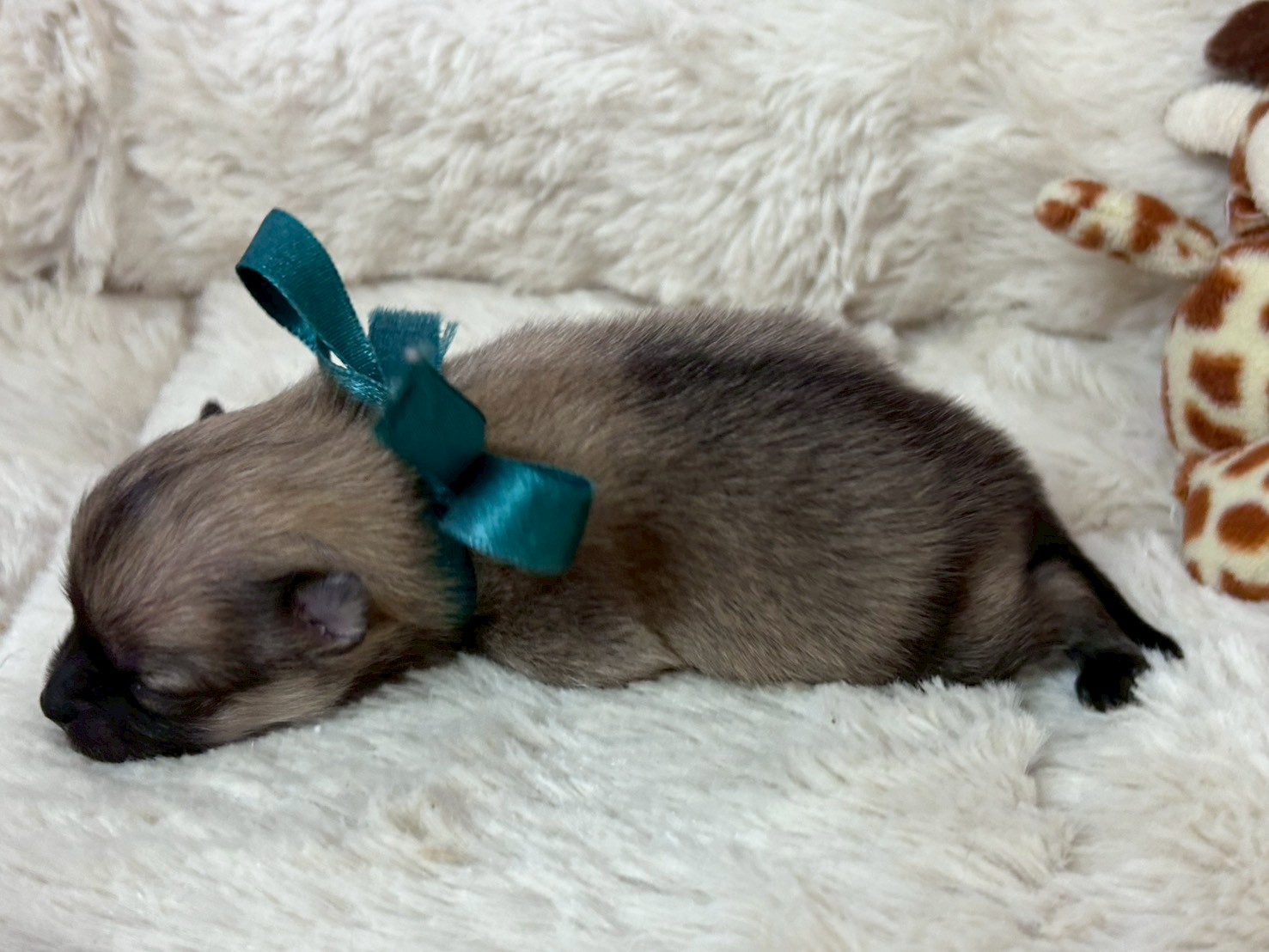 赤ちゃん写真1-2