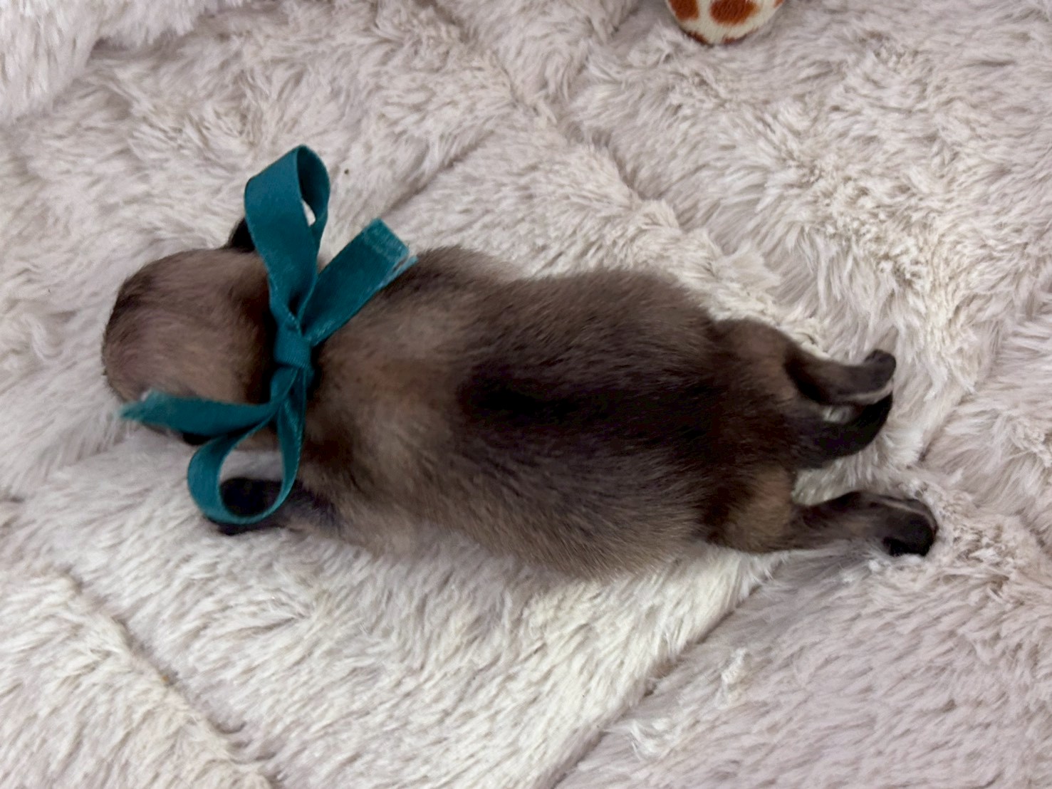 赤ちゃん写真1-3