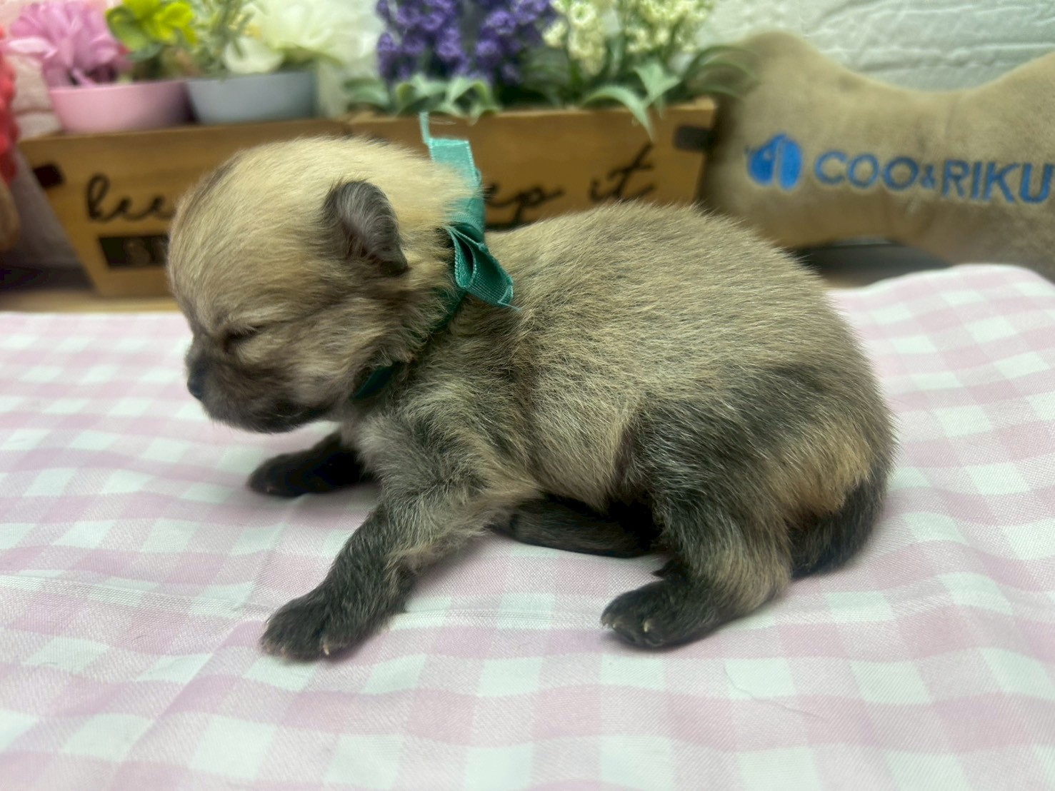 赤ちゃん写真2-2