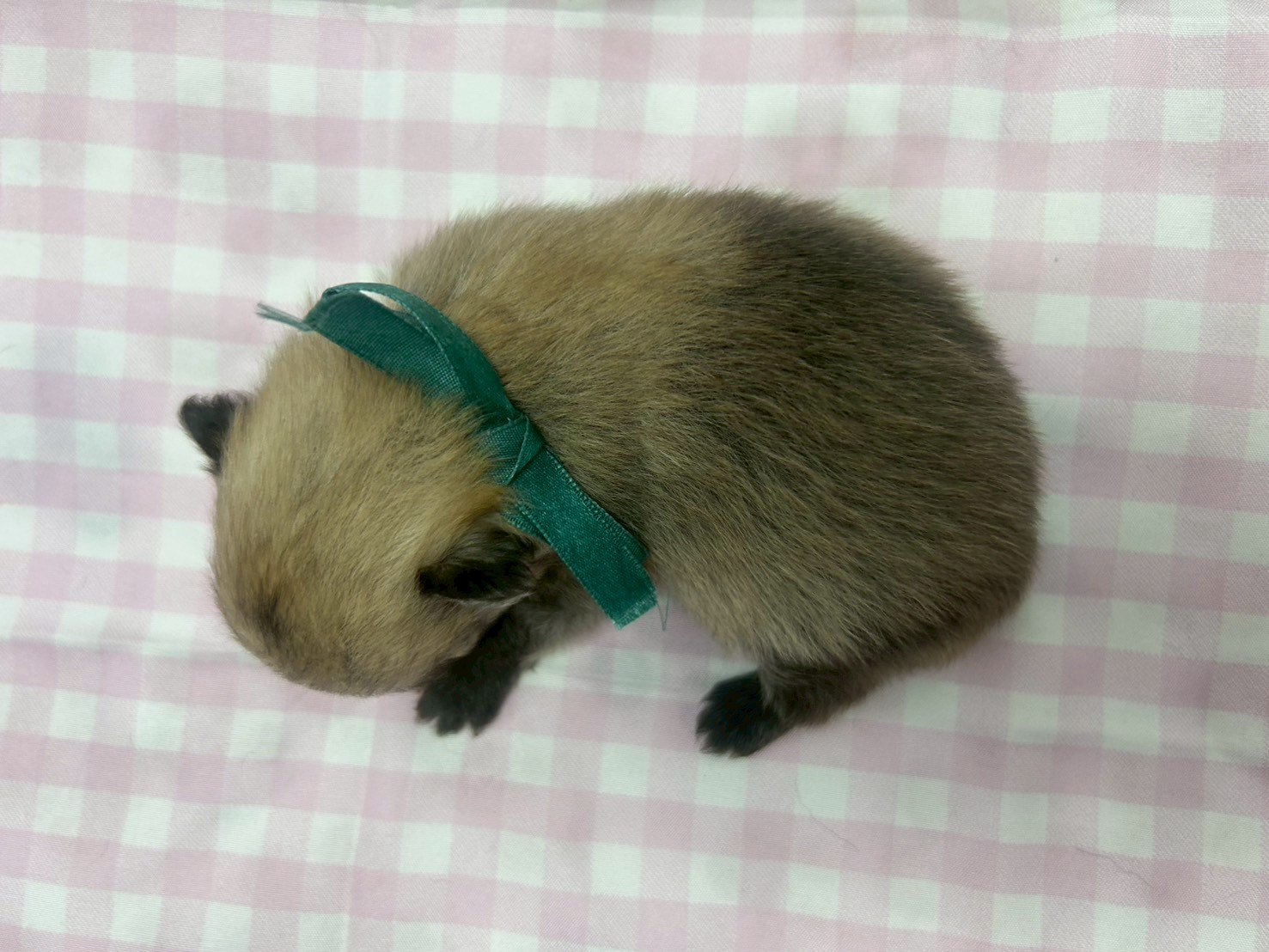 赤ちゃん写真2-3