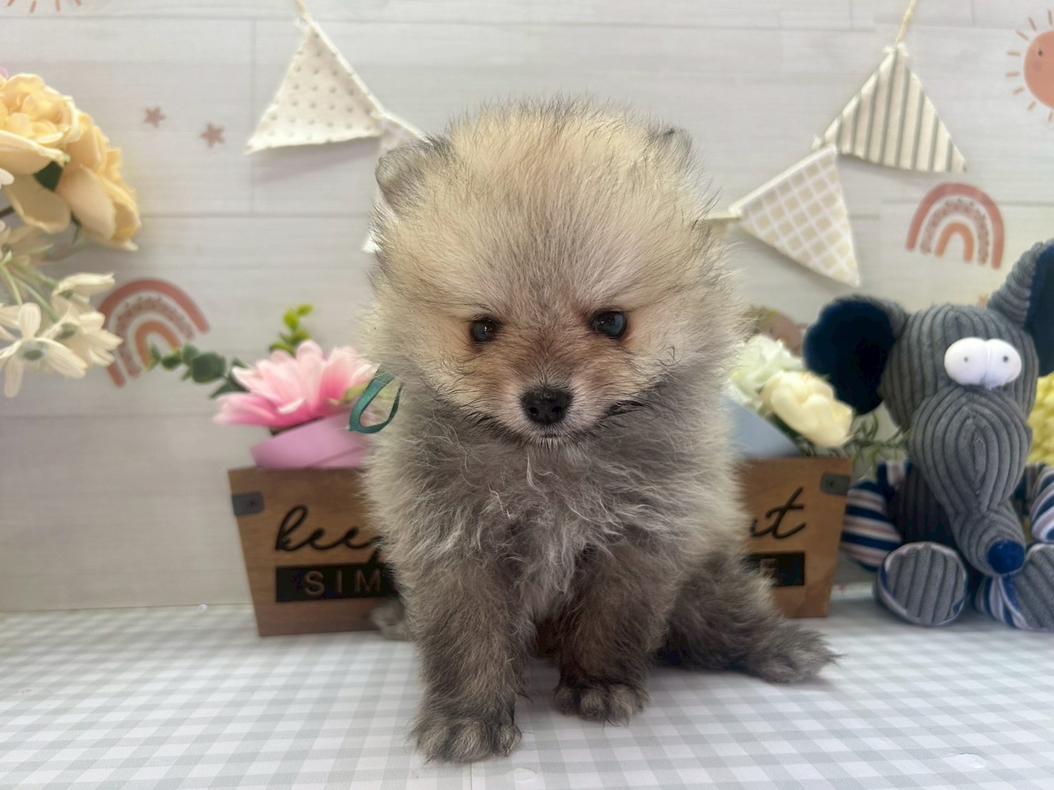 赤ちゃん写真3-1