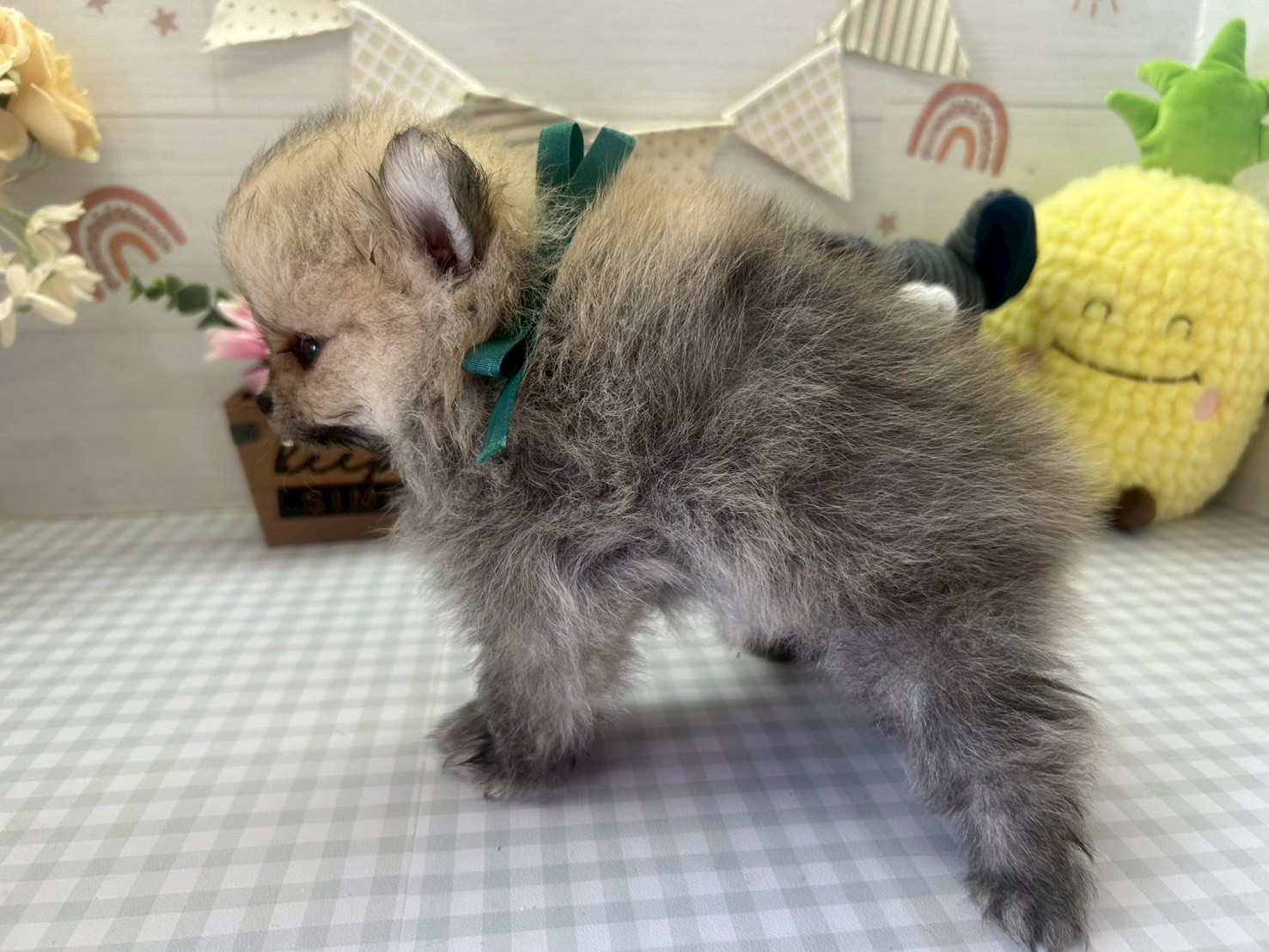 赤ちゃん写真3-2