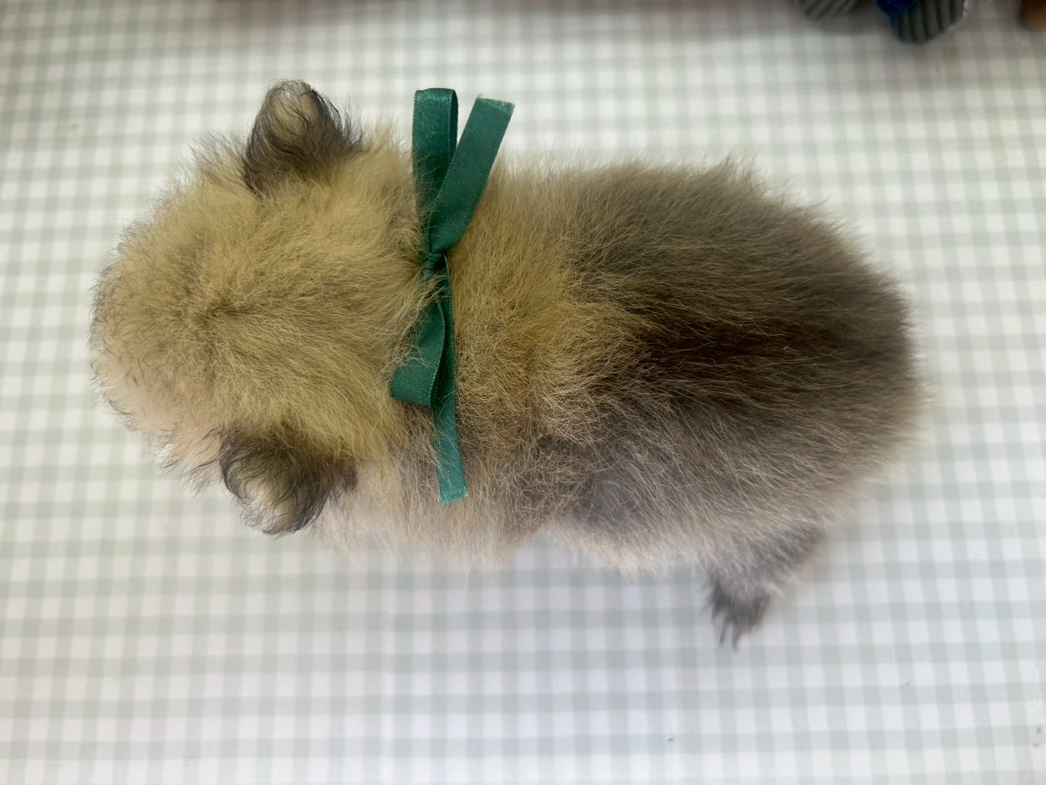 赤ちゃん写真3-3