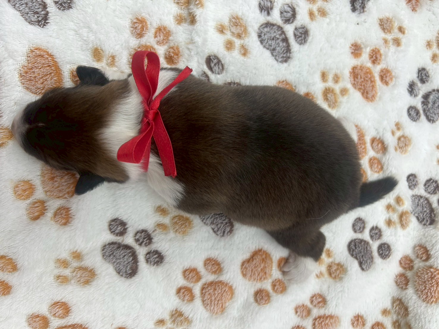 赤ちゃん写真1-3