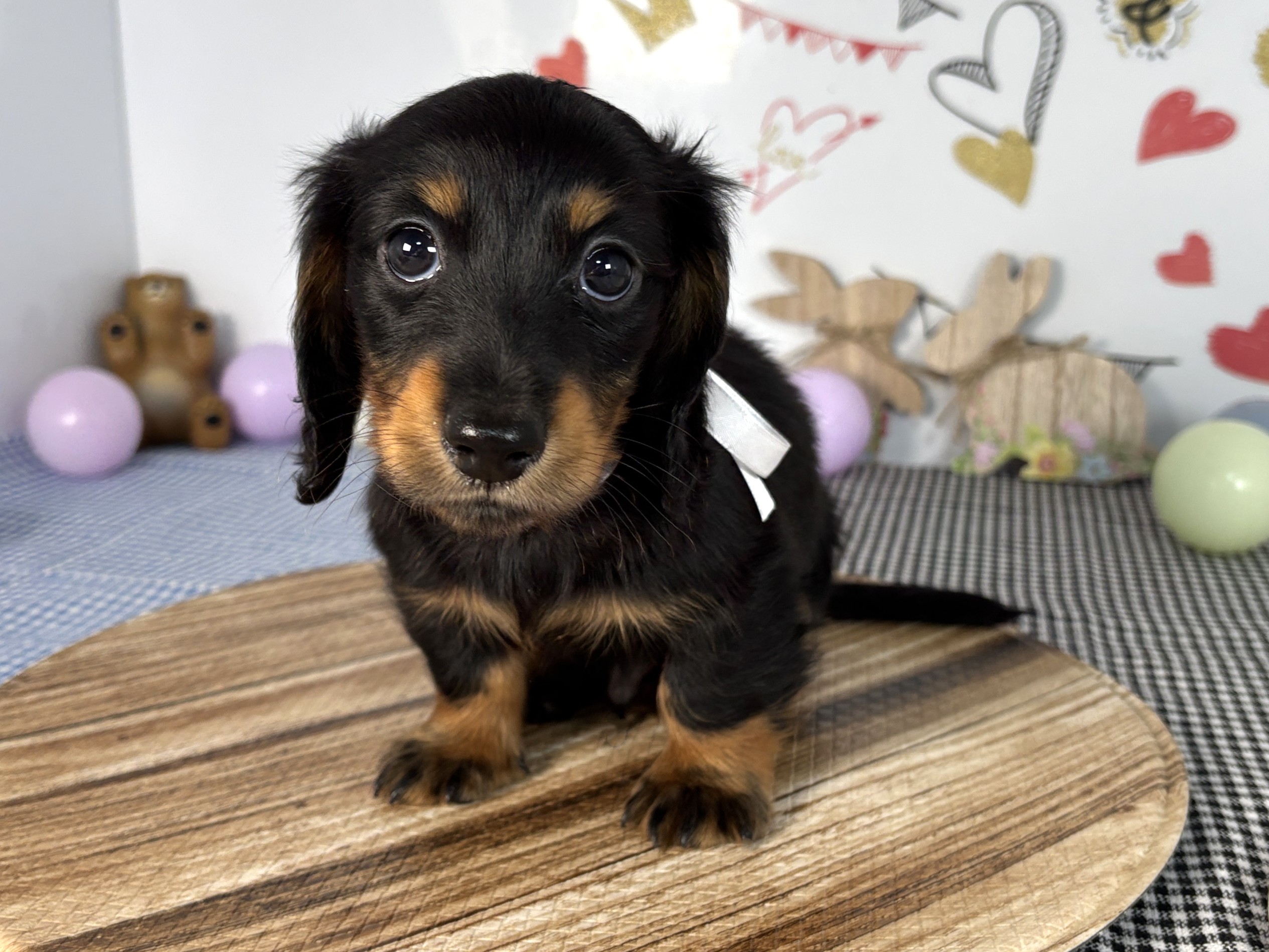 赤ちゃん写真2-1