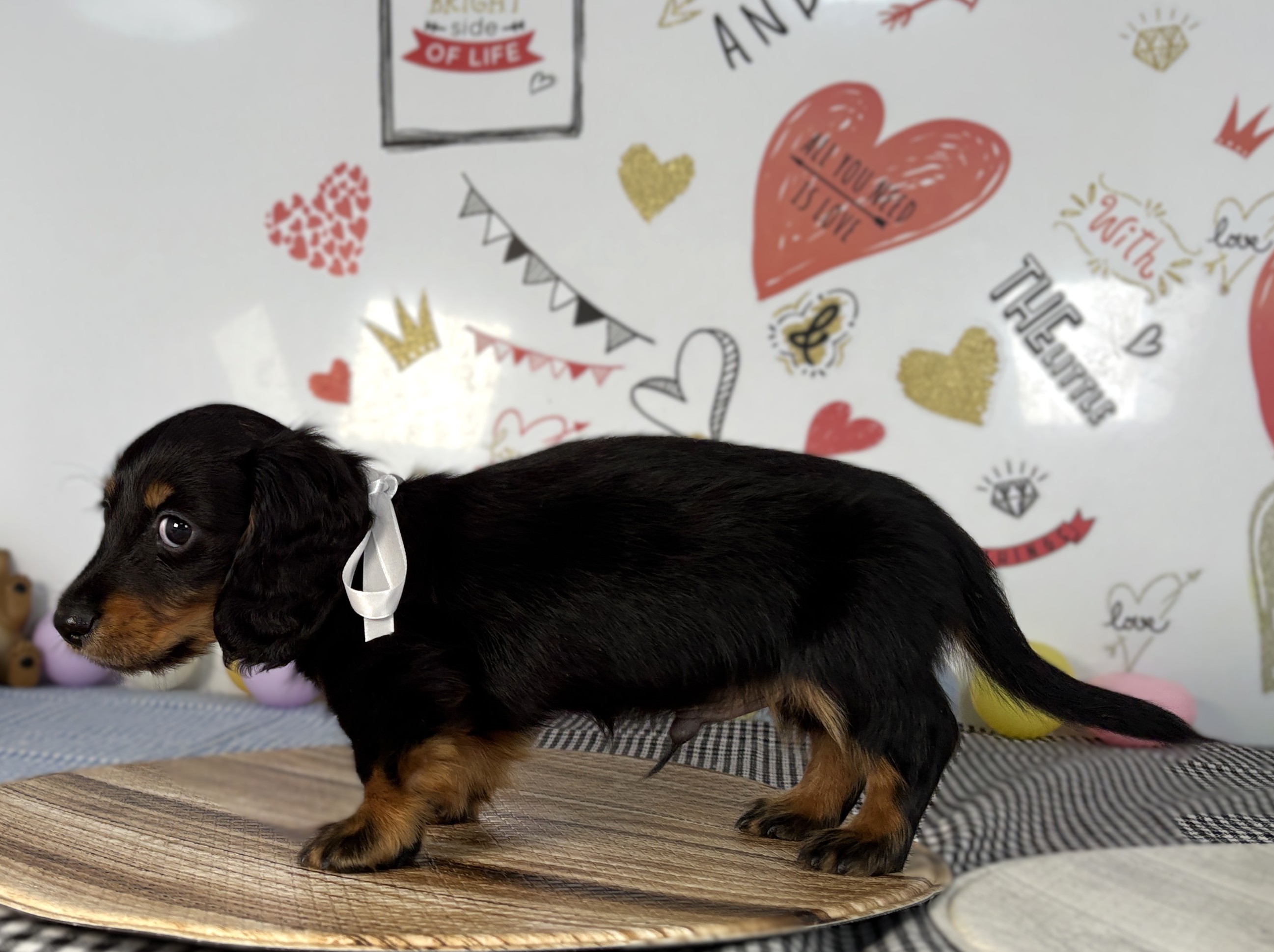 赤ちゃん写真2-2