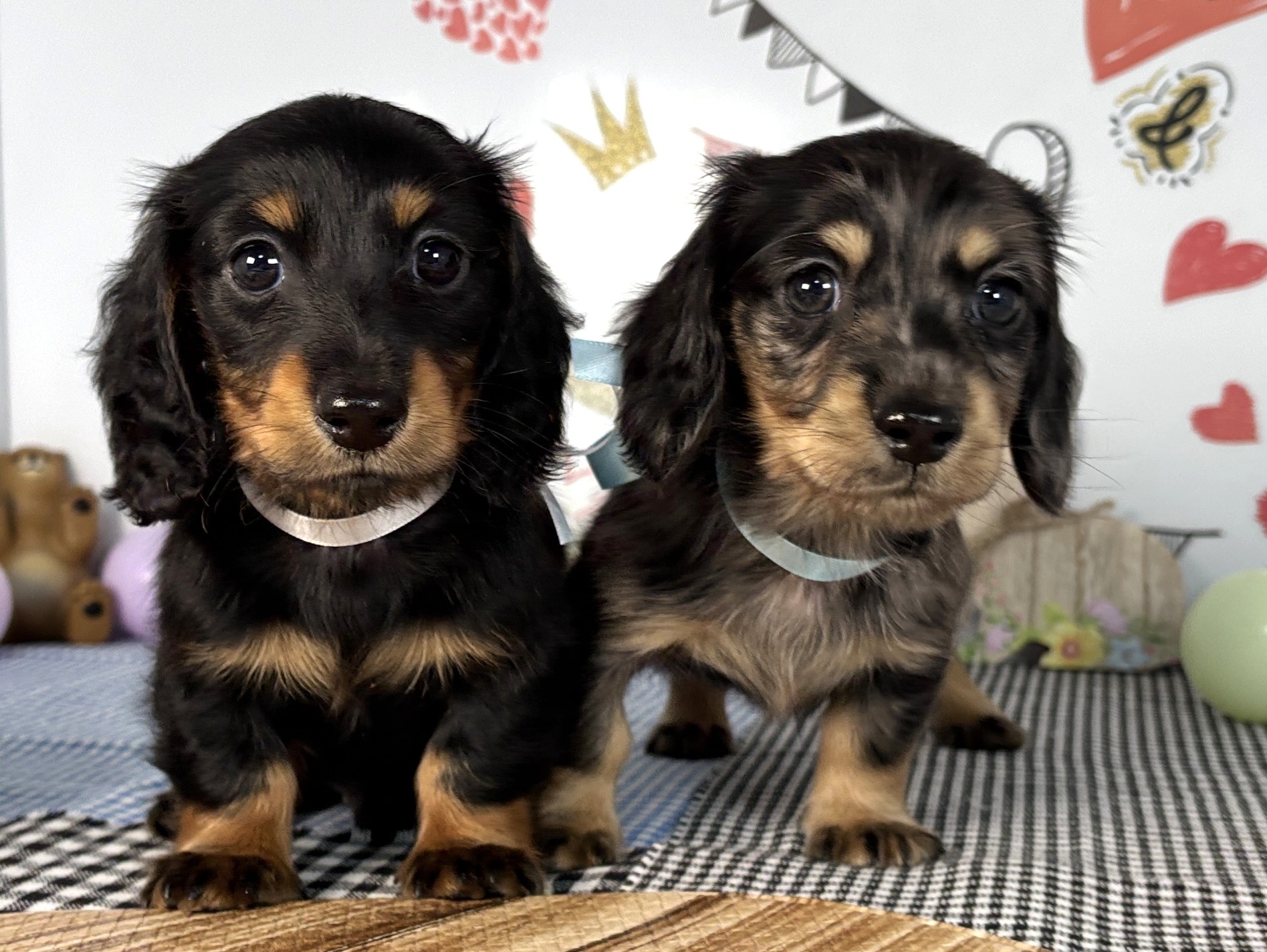 赤ちゃん写真2-3