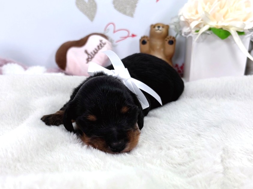 赤ちゃん写真1-1