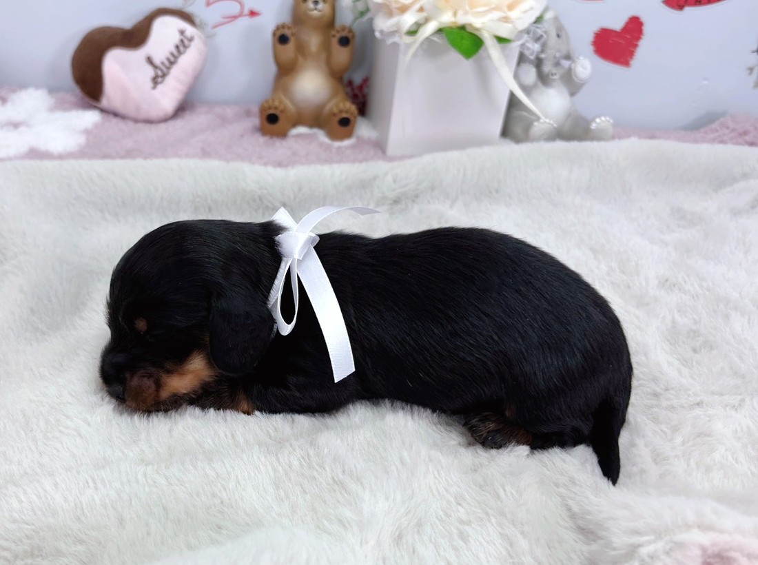 赤ちゃん写真1-2