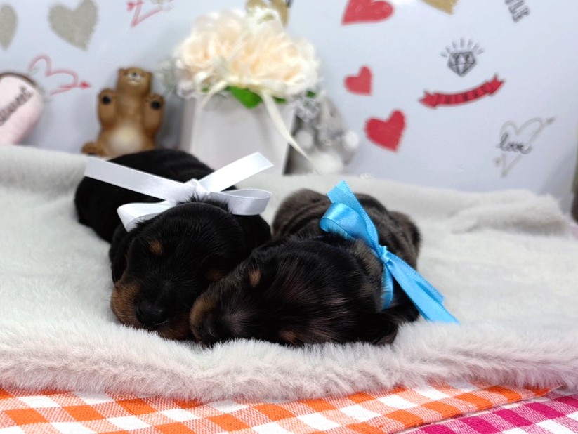 赤ちゃん写真1-3