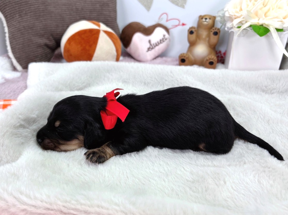 赤ちゃん写真1-2