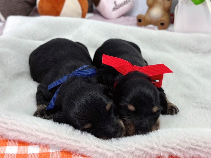 赤ちゃん写真1-3