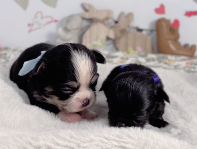 赤ちゃん写真1-3