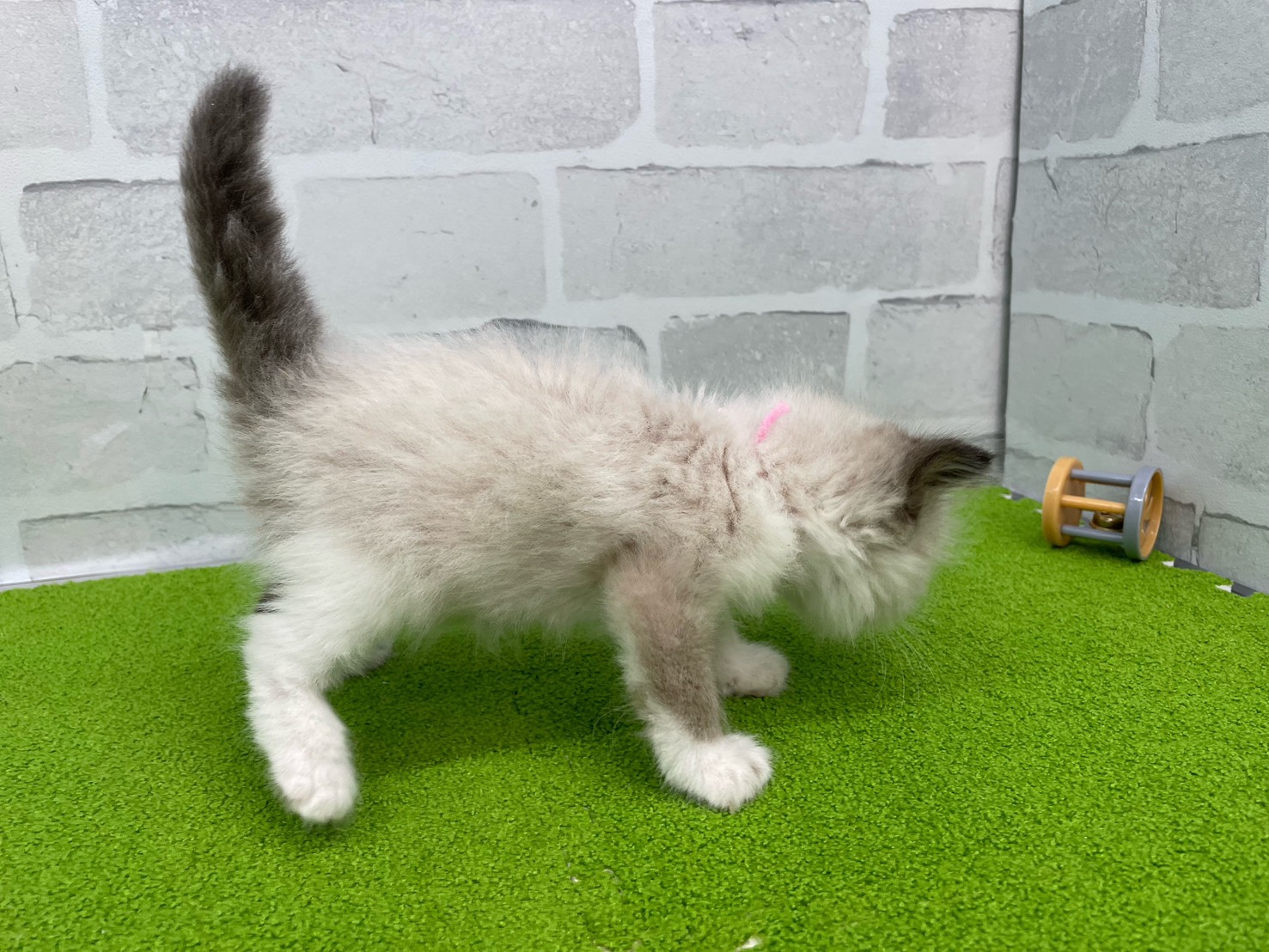 赤ちゃん写真2-2