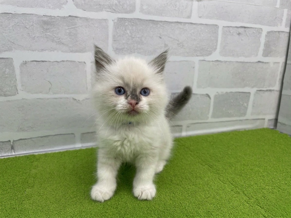 赤ちゃん写真2-1