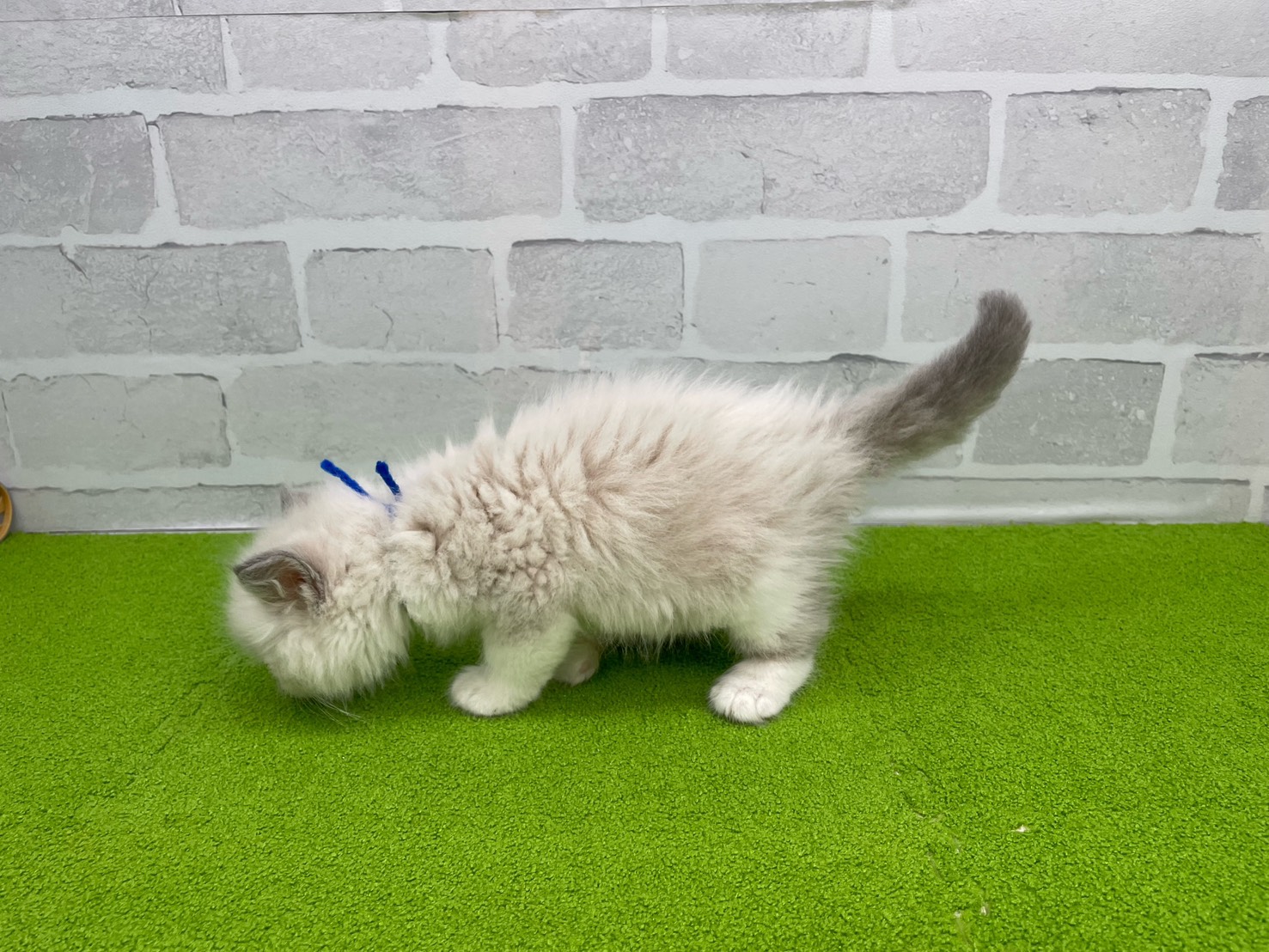 赤ちゃん写真2-2