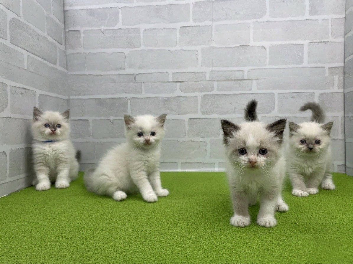 赤ちゃん写真2-3