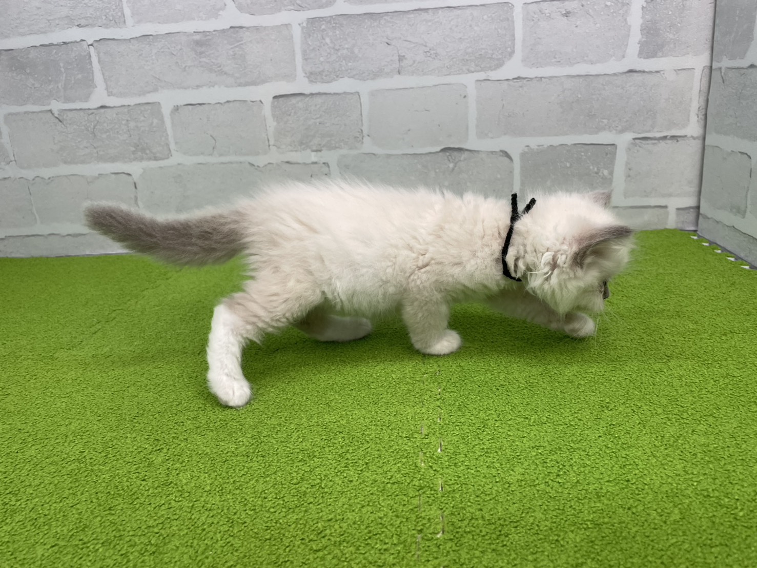 赤ちゃん写真2-2