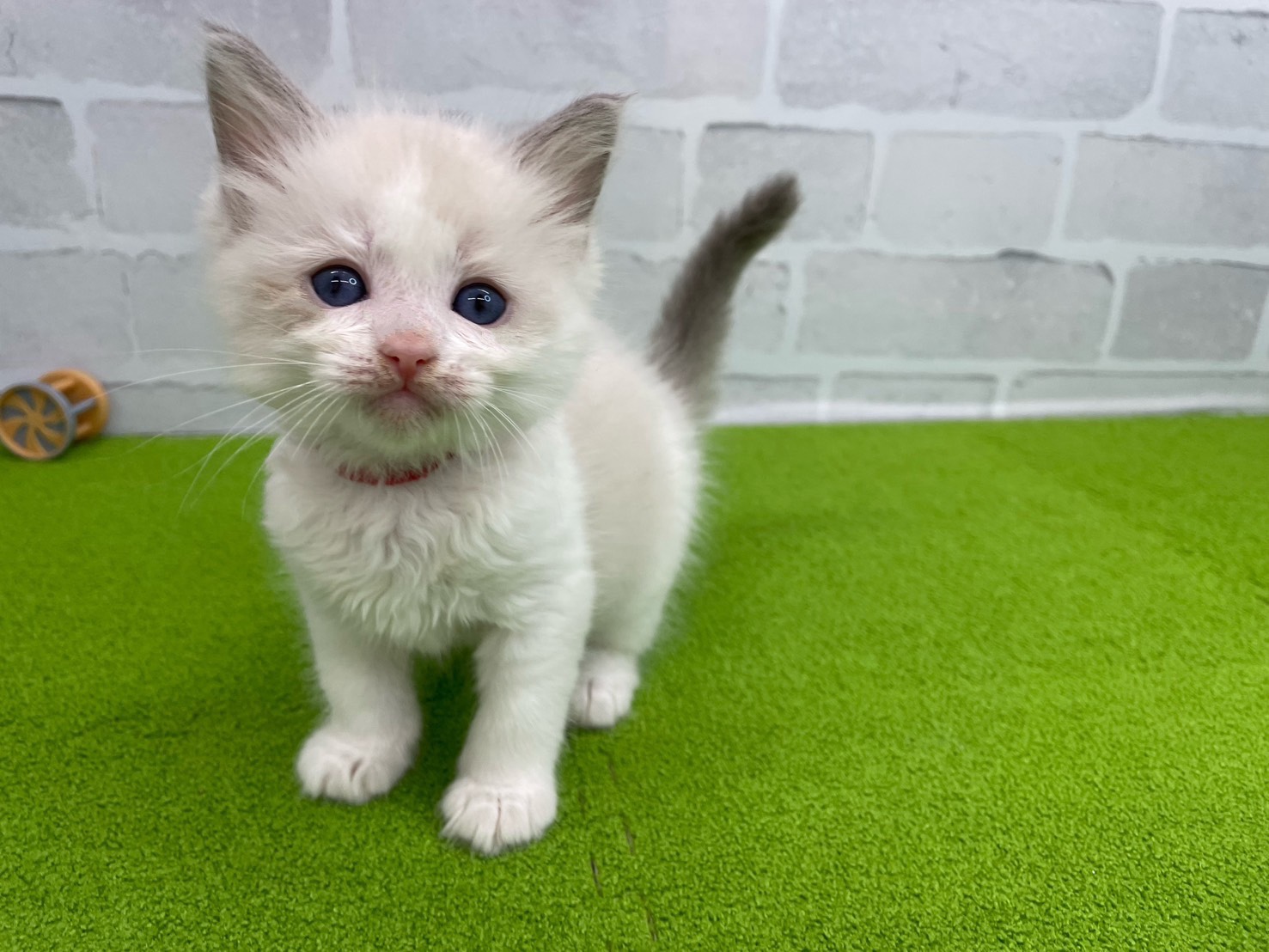 赤ちゃん写真2-1