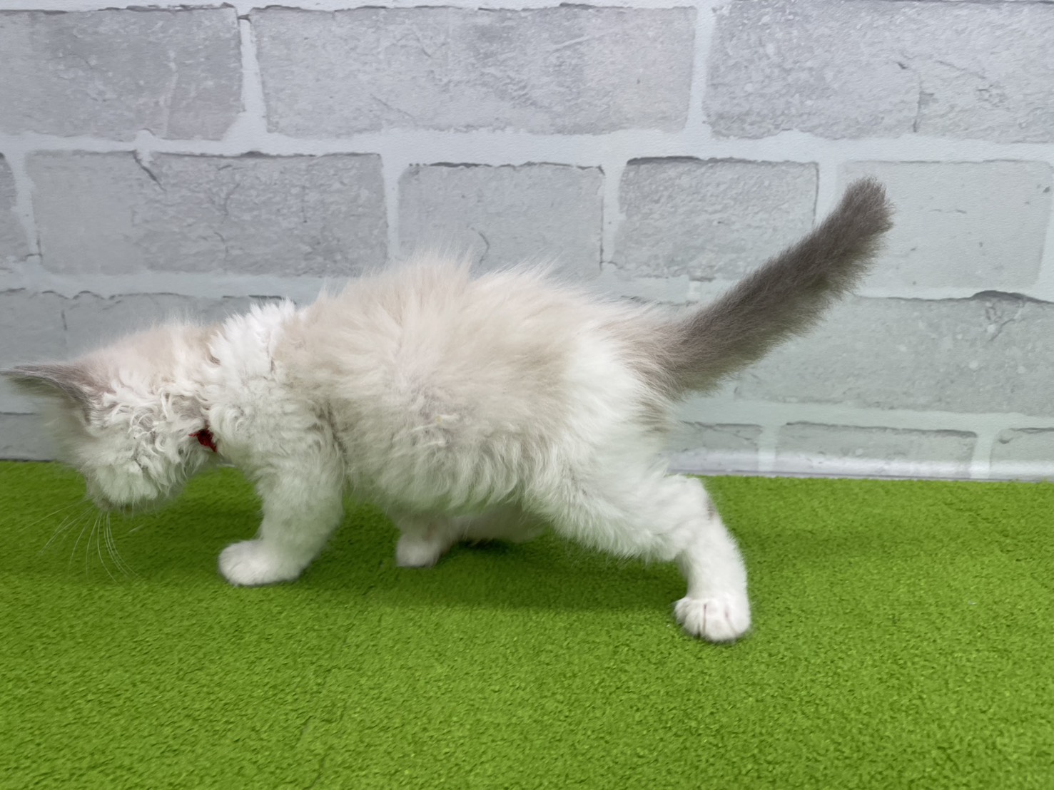 赤ちゃん写真2-2