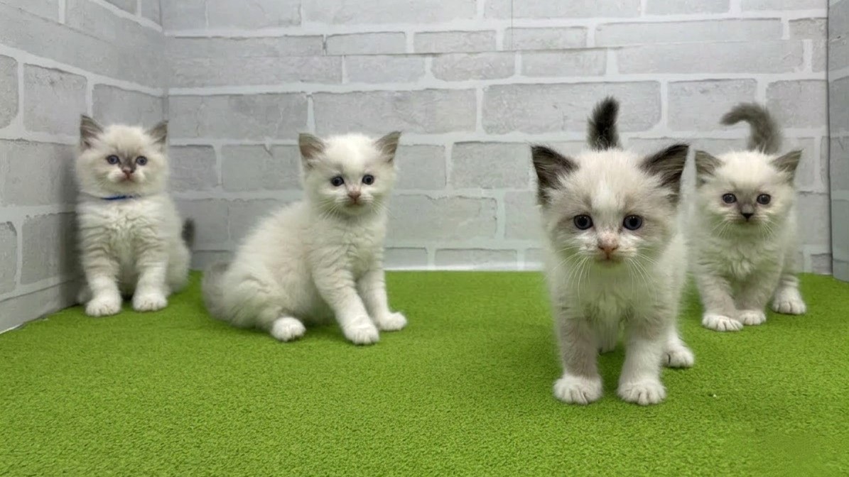 赤ちゃん写真2-3