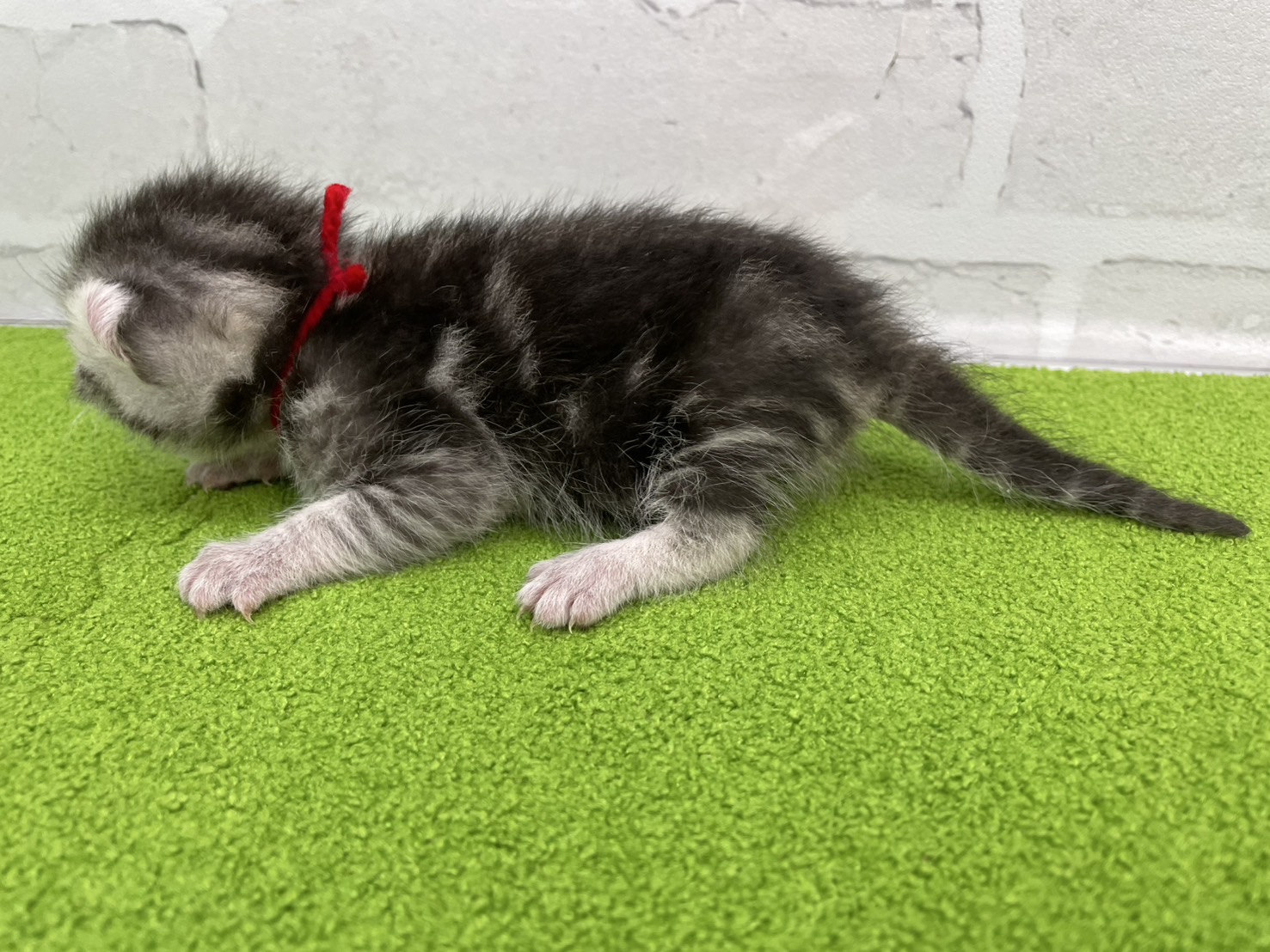 赤ちゃん写真1-2