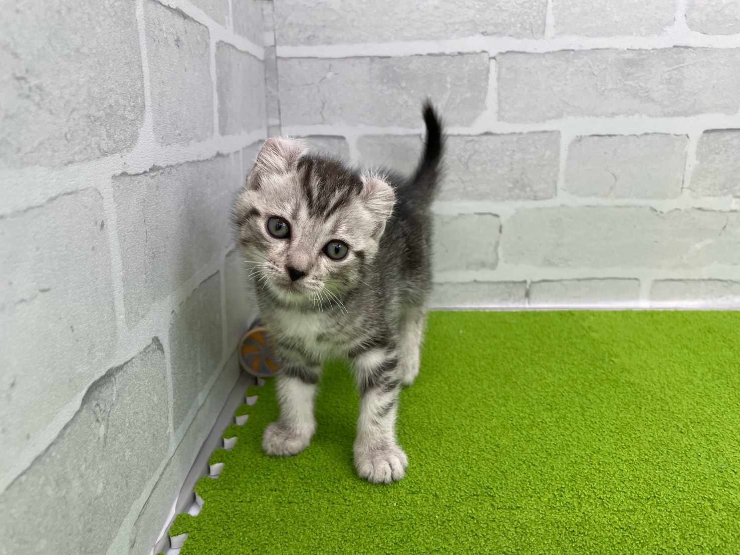 赤ちゃん写真2-1