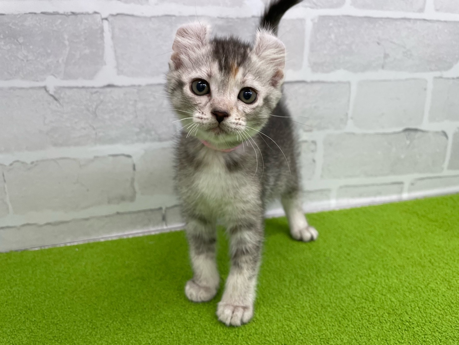 赤ちゃん写真2-1