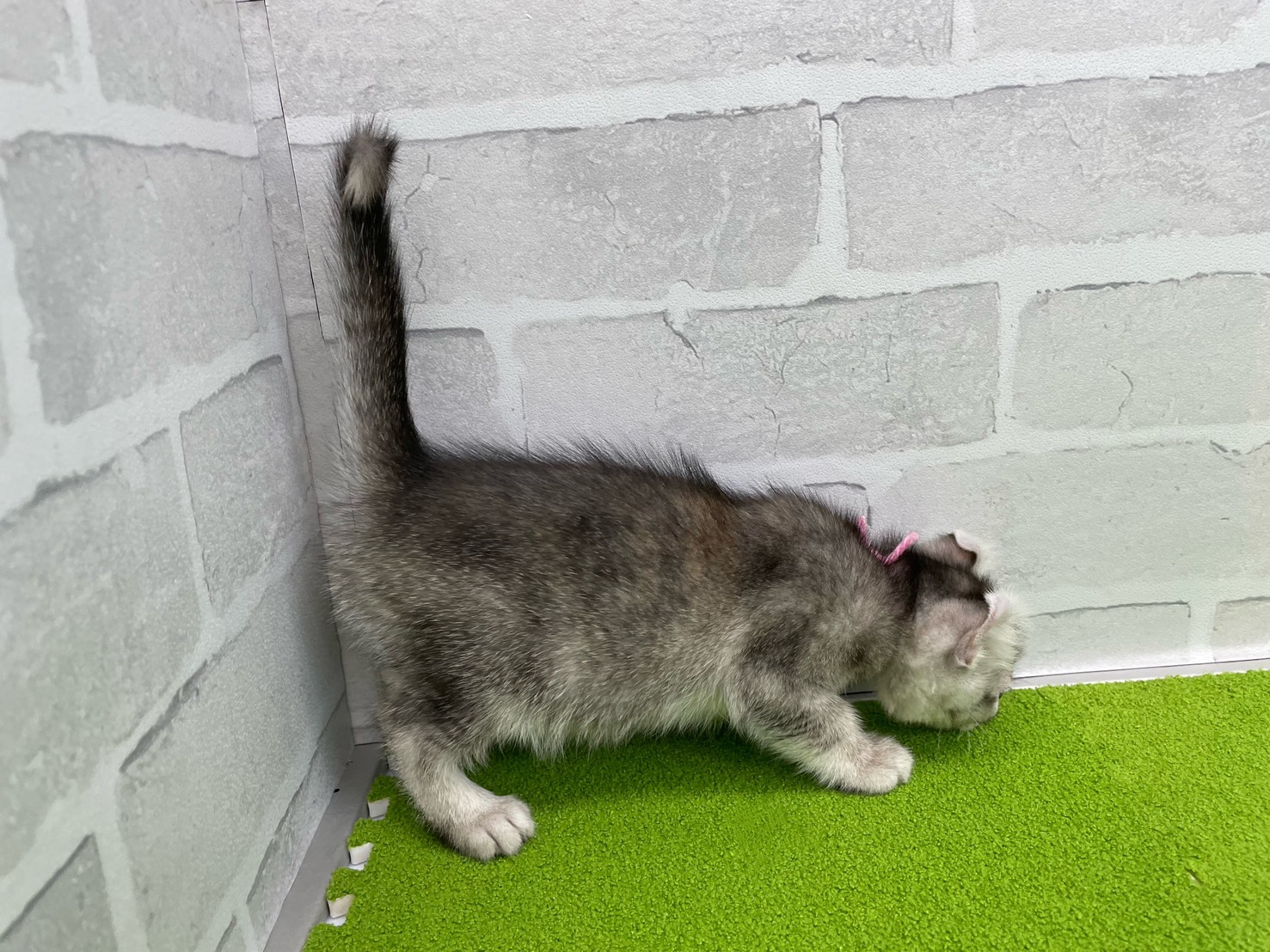 赤ちゃん写真2-2