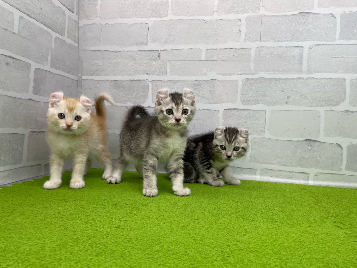 赤ちゃん写真2-3