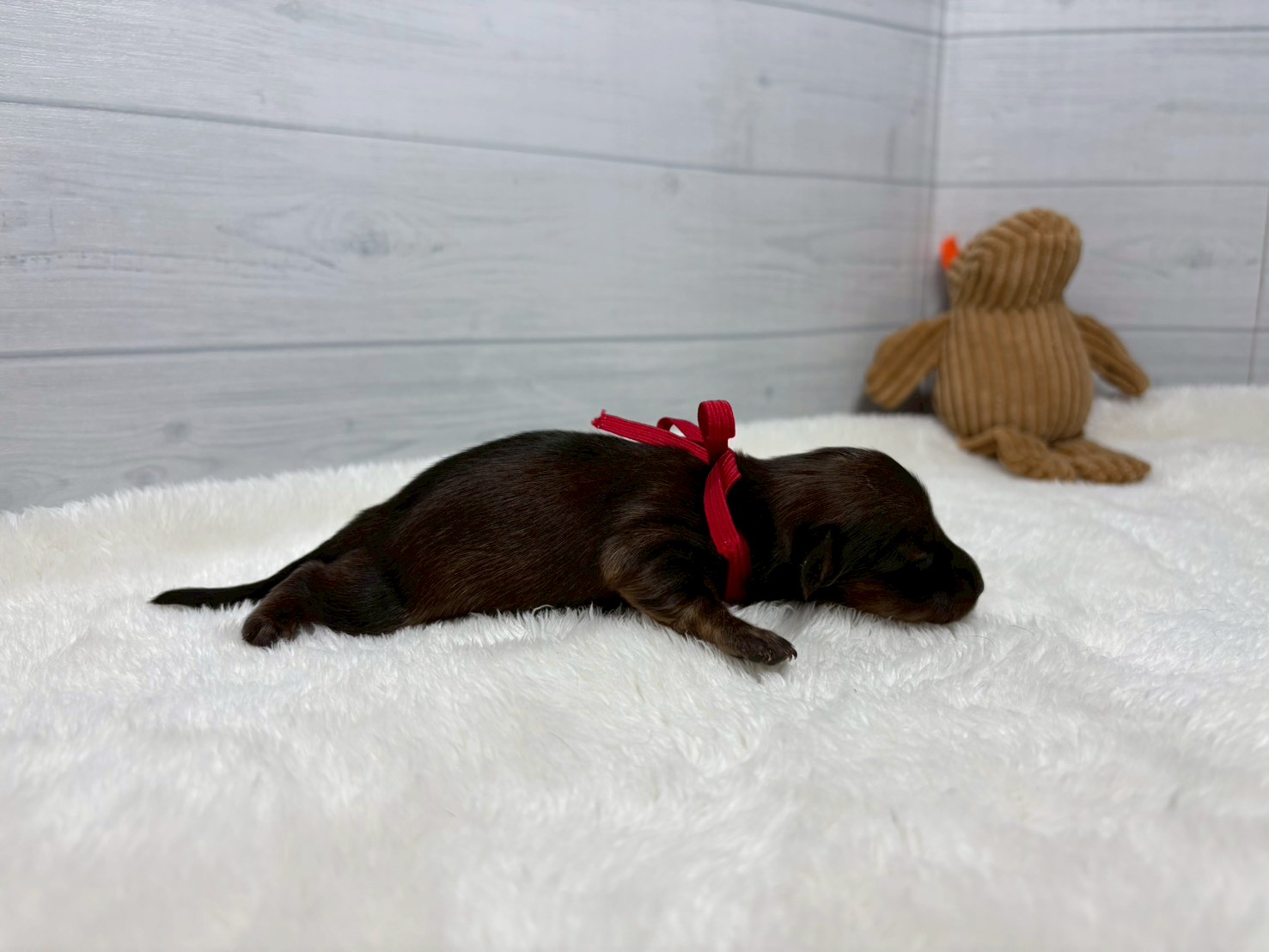 赤ちゃん写真1-2