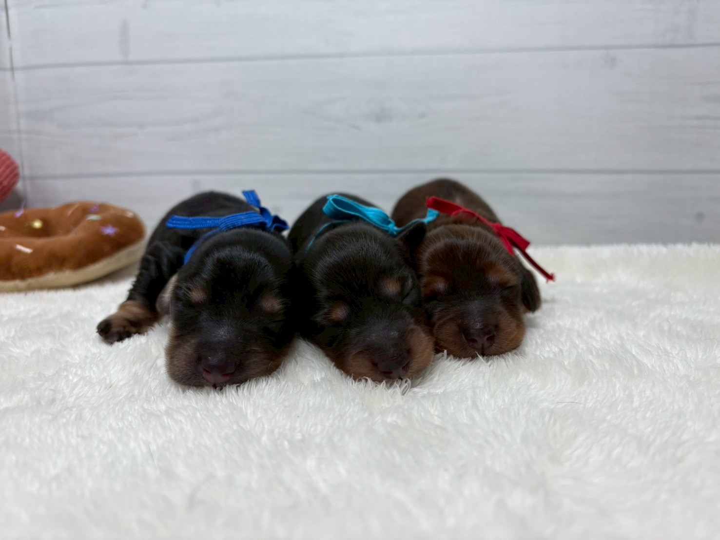 赤ちゃん写真1-3