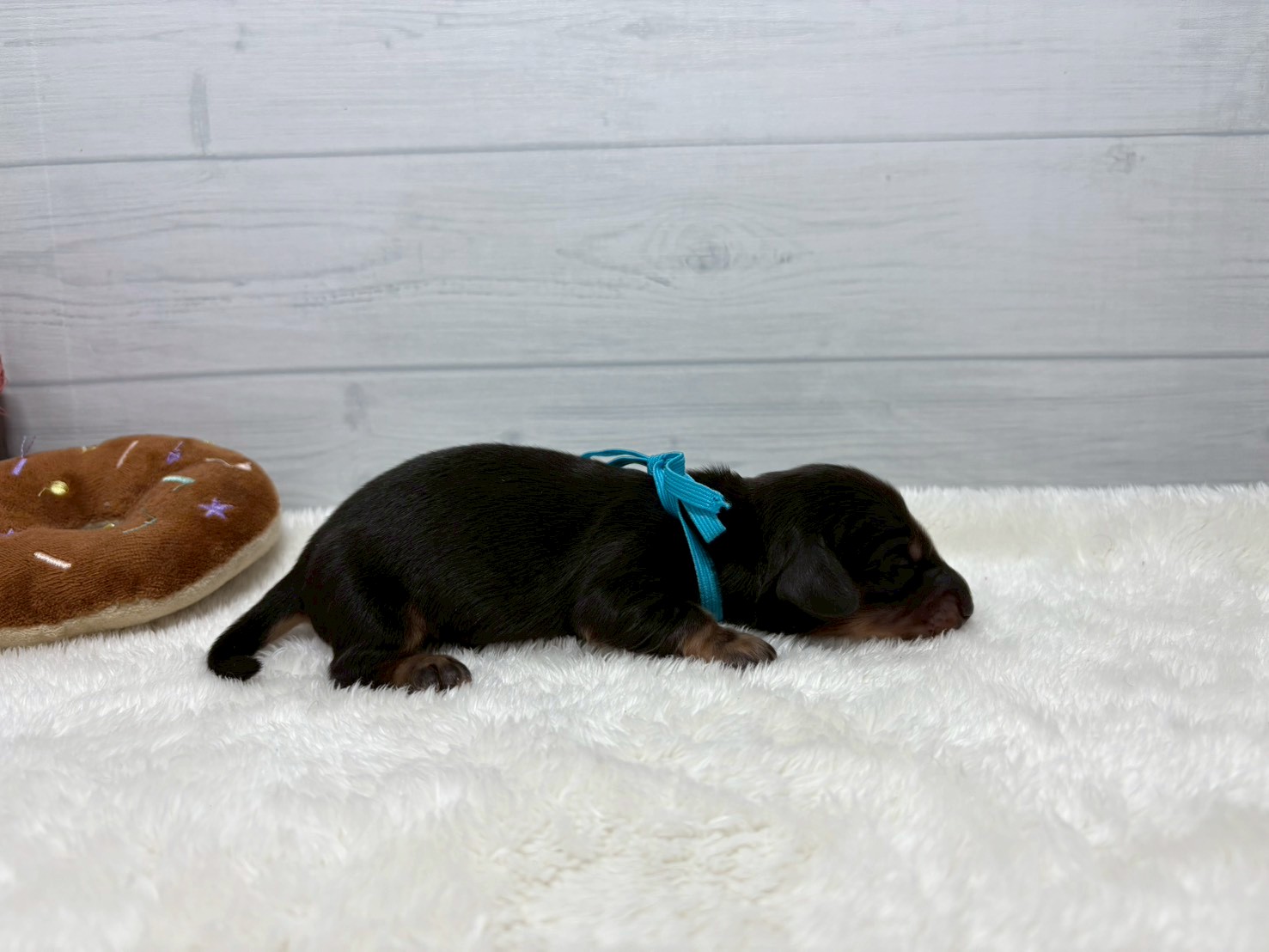 赤ちゃん写真1-2